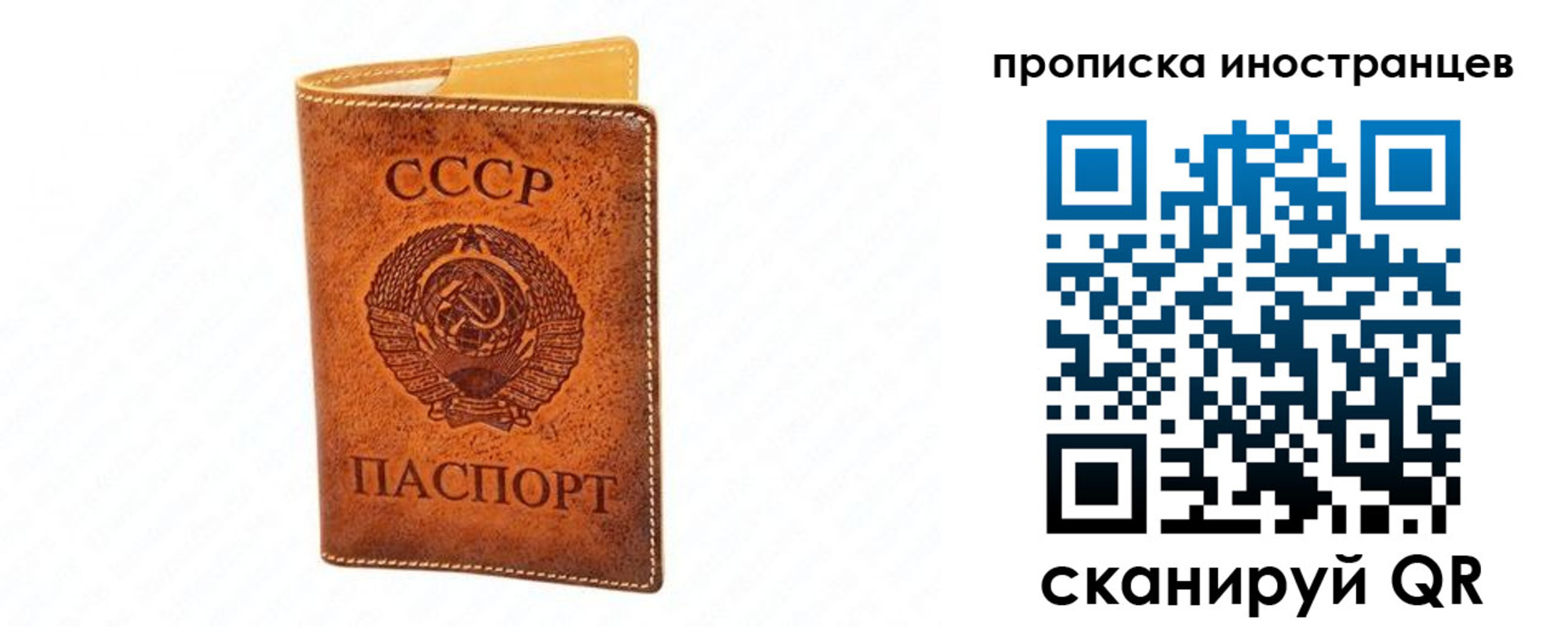 прописка для школы в Сатке